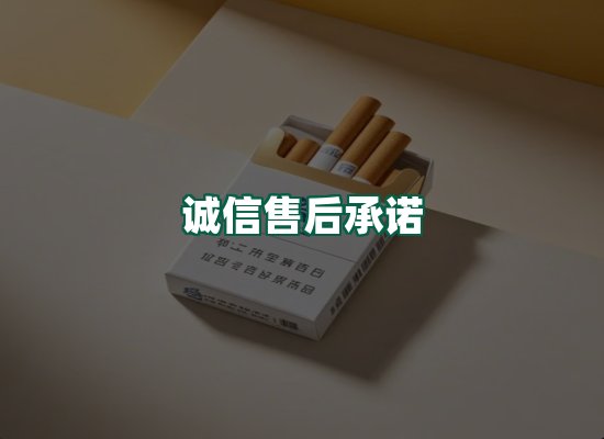 核心优势
